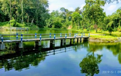 Ada Pulau Kecil di Sumber Complang Kediri