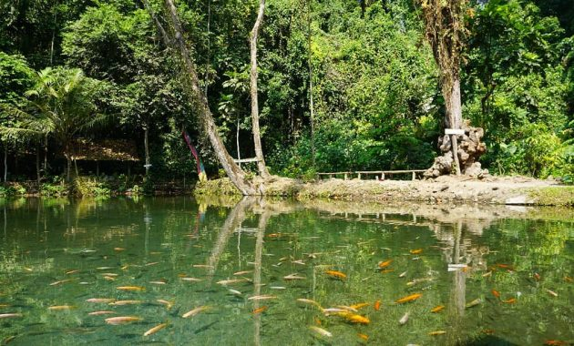 Pesona Keindahan Wisata Sumber Ubalan Kediri