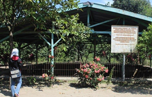 Candi Dorok, Peninggalan Sejarah di Desa Manggis Kediri